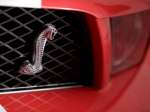 Cars Shelby Shelby Cobra GT500 Mustang Shelby Cobra GT500 Mustang 012 jpg  